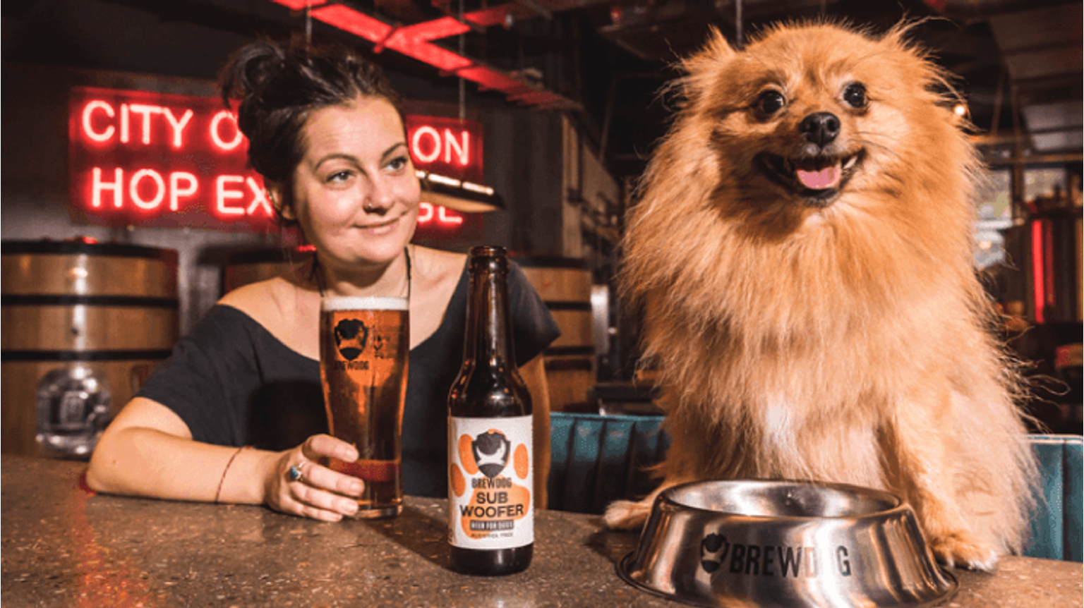 thumbnail for blog article named: Brewdog sort la bière pour les chiens