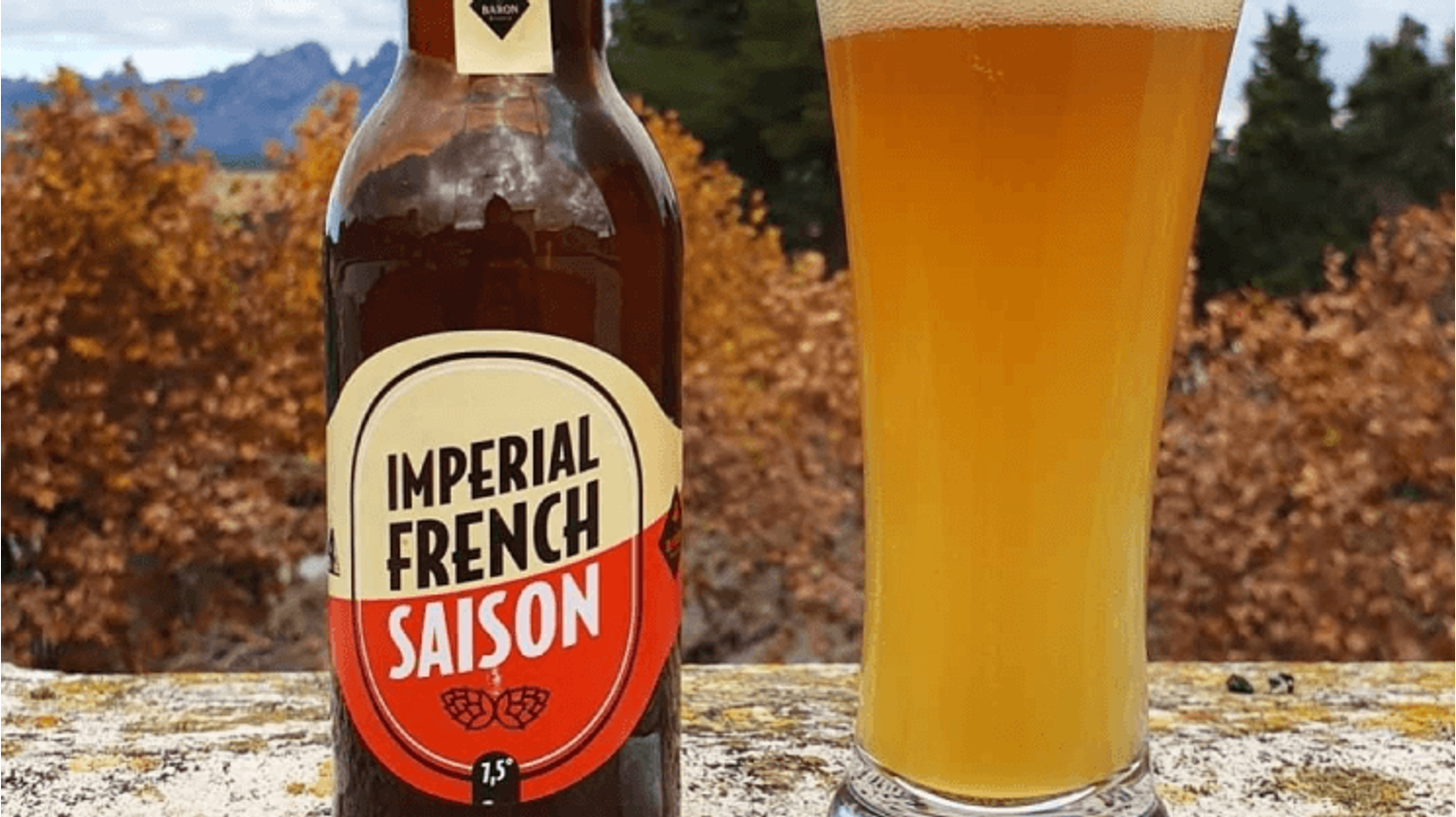 thumbnail for blog article named: Première bière du Beery Christmas : Imperial French Saison