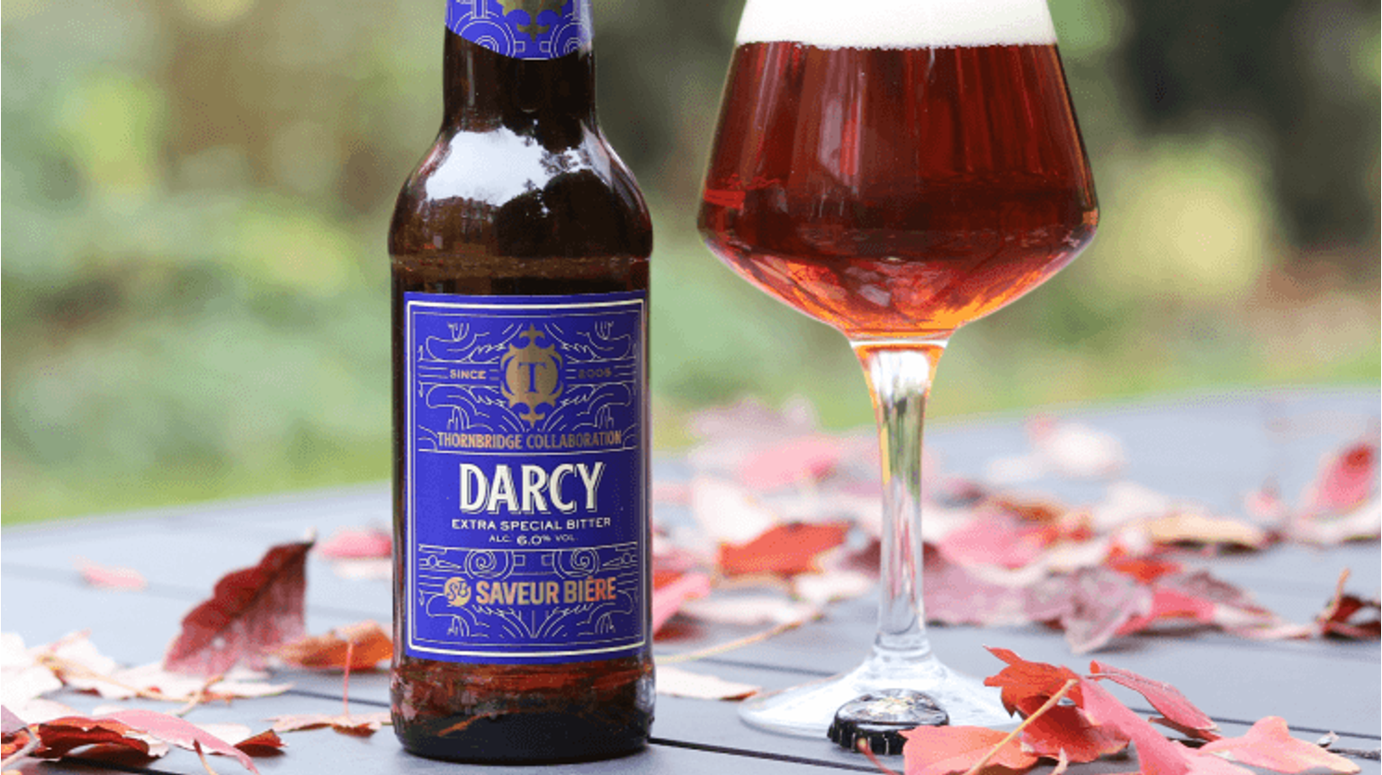 thumbnail for blog article named: Onzième bière du Beery Christmas : Darcy