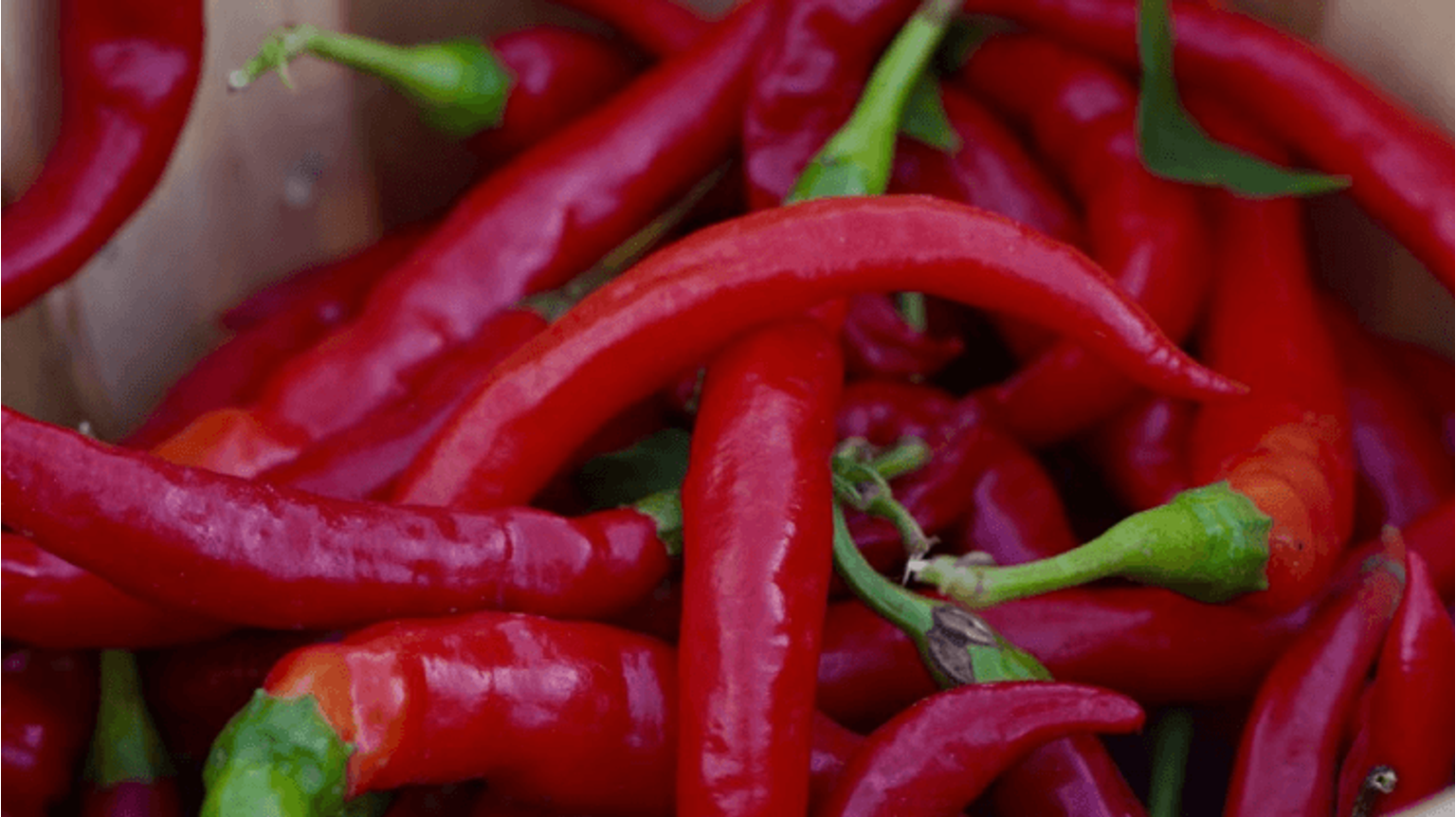 thumbnail for blog article named: Chilli & Beer – Spice up your life