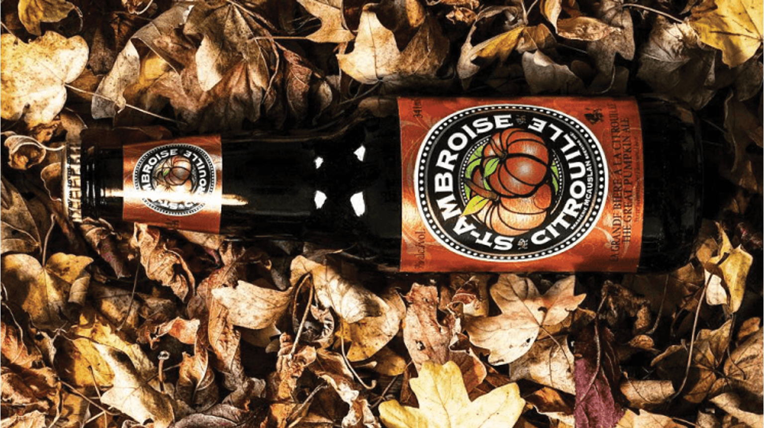 thumbnail for blog article named: Qu'est-ce qu'une halloween pumpkin beer ?