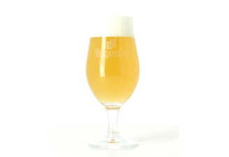 Beer glasses - Stemmed Glass Hoegaarden 25cl