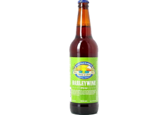Bouteilles - Green Flash Barley Wine 65 cl