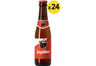 Flessen - Jupiler 24 Pack