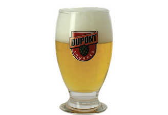 Beer glasses - Dupont Beer Glass - 24 cl