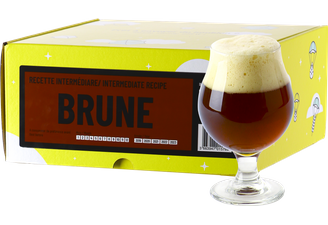 Kit à bière tout grain - Recette Bière Brune - Recharge pour Beer Kit Intermédiaire