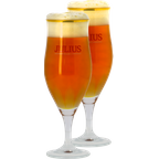 Beer glasses - Pack 2 glasses Hoegaarden Julius 33cl