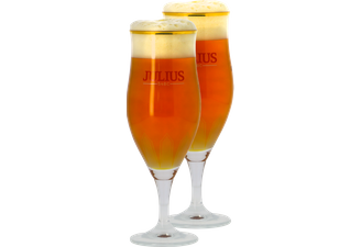 Beer glasses - Pack 2 glasses Hoegaarden Julius 33cl