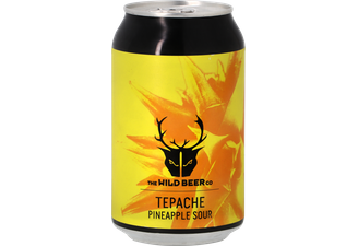 Flessen - Wild Beer - Tepache