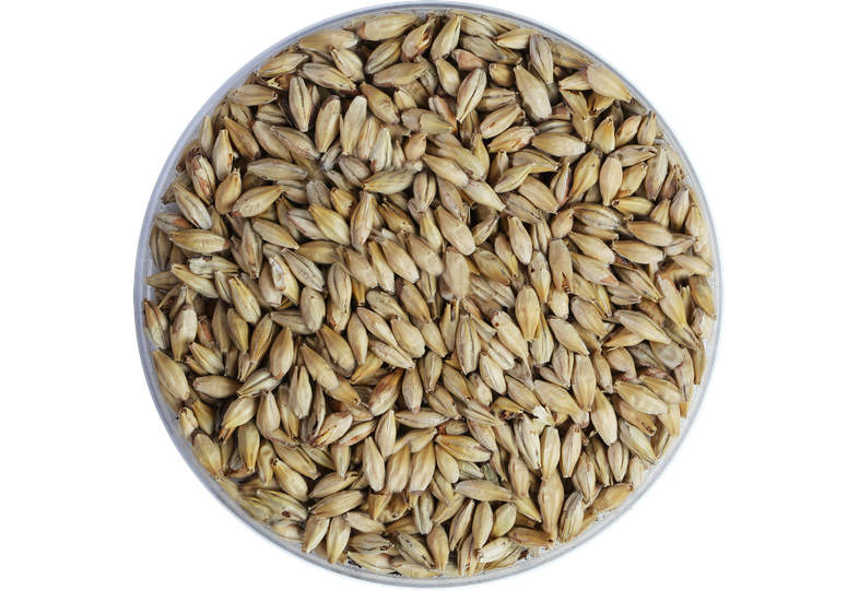 Crystal Malt 150 EBC