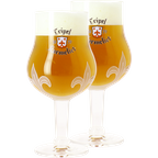 Beer glasses - 2 Karmeliet 30cl glasses