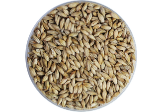 Malts - Malt Biscuit 50 EBC