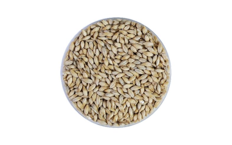 Organic Cara Blond Malt 20 EBC-Buy the best beer online