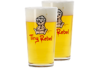 Beer glasses - 2 Tiny Rebel beer glasses